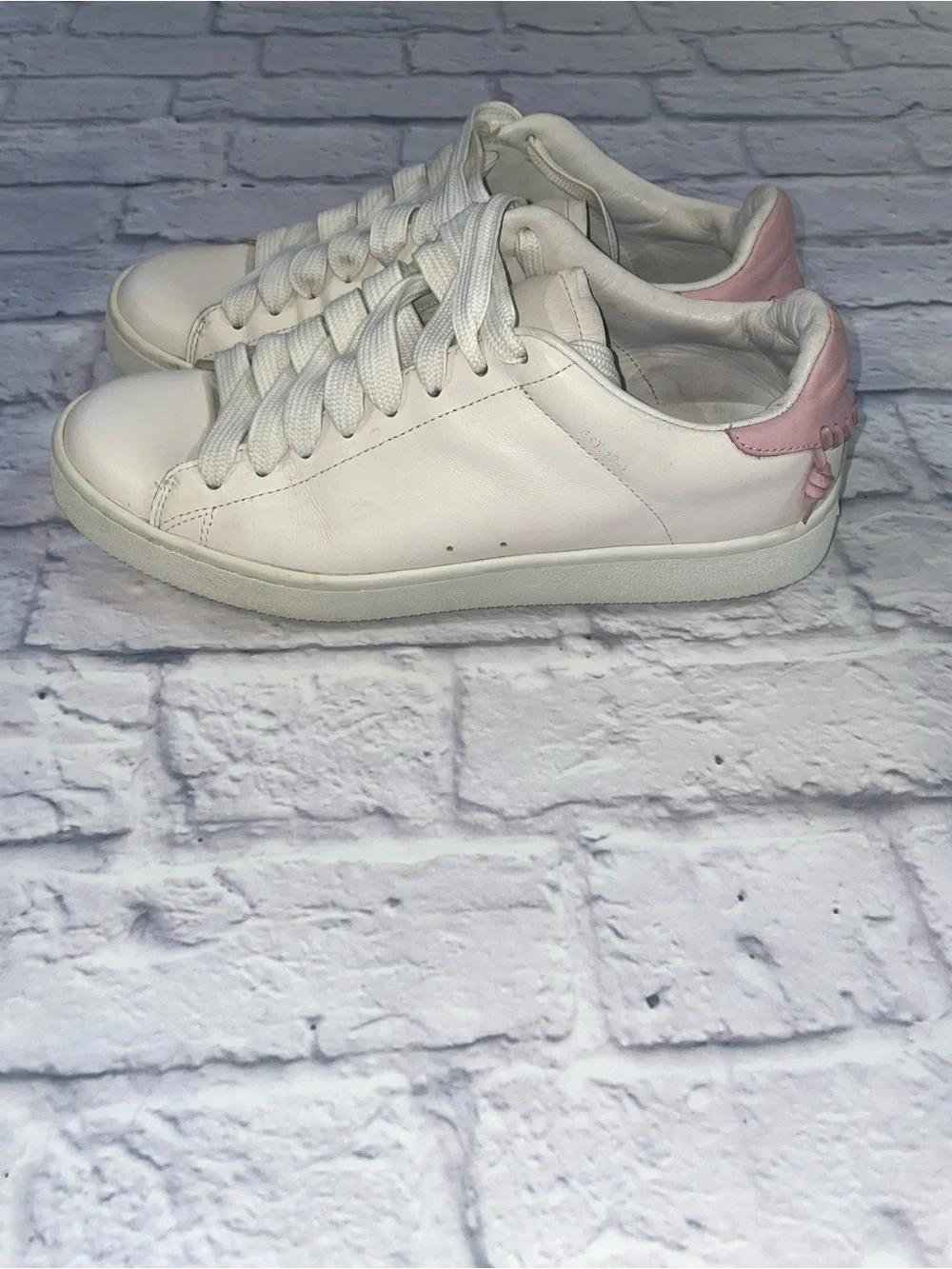 Coach C101 Low Top Sneaker. Size 10